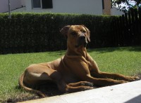 /album/galeria-de-fotos/imgp2037-1-jpg/